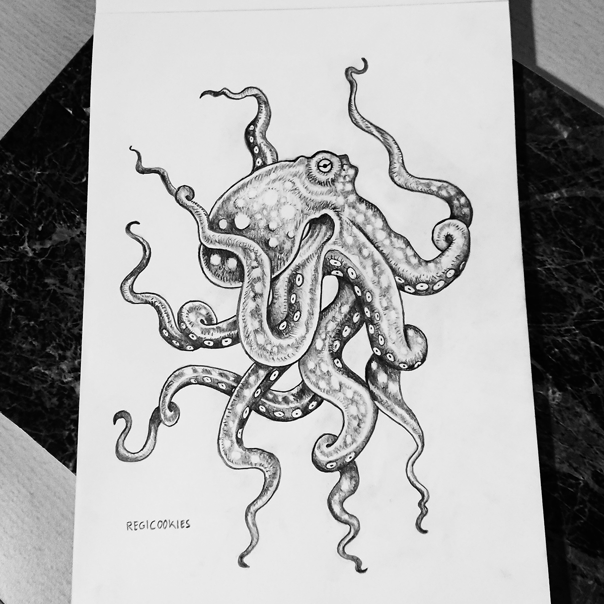 13,500+ Octopus Drawing Stock Photos, Pictures & Royalty-Free Images -  iStock | Octopus illustration, Octopus sketch, Shark